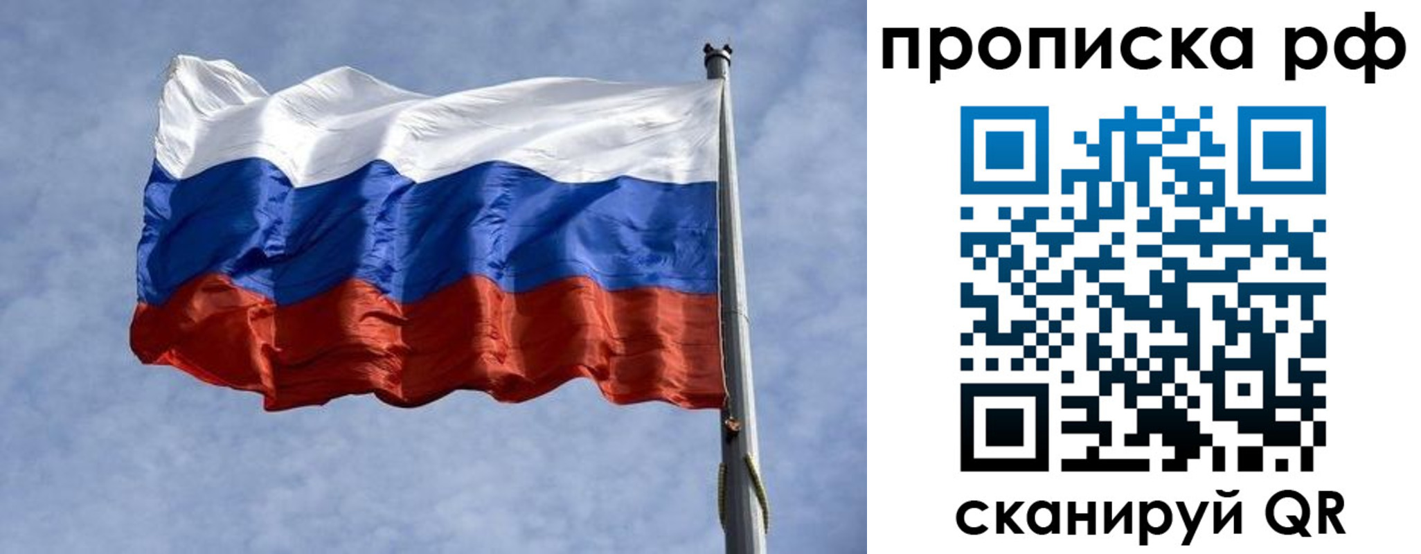найти адрес прописки в Ногинске